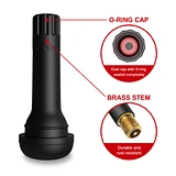Pack of 100pcs Valves
